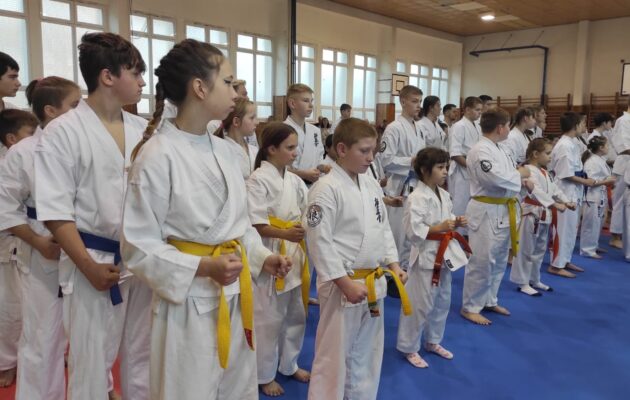 Česká liga plnokontaktního karate v Sokolově