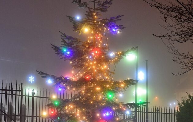 FOTO: Vánoční strom i další výzdoba ve městě už jsou rozsvíceny