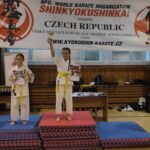 Česká liga plnokontaktního karate v Sokolově
