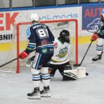 Dvůr Králové nad Labem - Vrchlabí 4:3