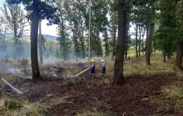 Na Jičínsku hořela paseka a stromy, hasiči příčinu požáru vyšetřují