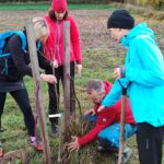 Sázení ovocných stromů na Ovčáku