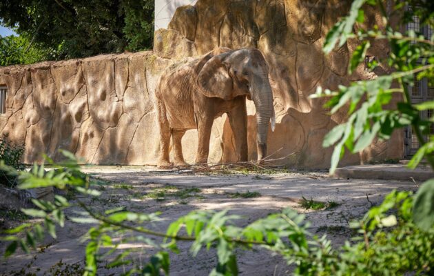 Turisty loni v hradeckém kraji nejvíc lákaly zoo, Adršpach a lanovka na Sněžku