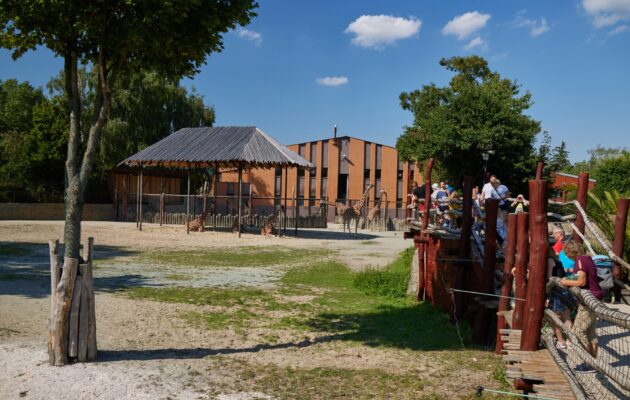 Safari Park Dvůr Králové měl o prázdninách návštěvu jako loni