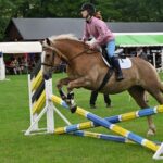 Krkonošské klání