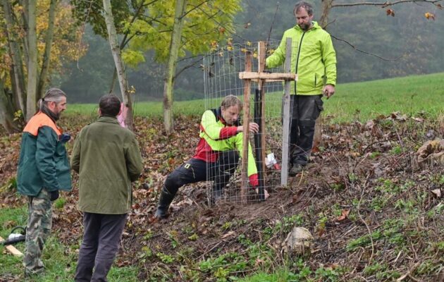 FOTO: Okrašlovací spolek sázel ovocné stromy pro budoucí generace