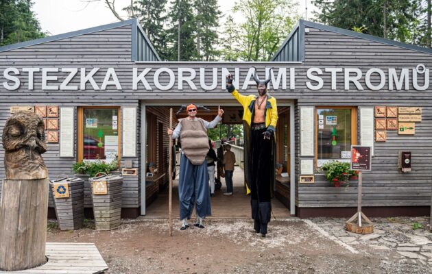 Stezka korunami stromů