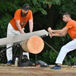 Krakonošův dřevorubecký pohár