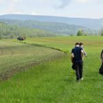 Společně sportujeme