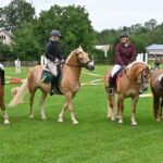 Krkonošské klání