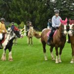 Krkonošské klání