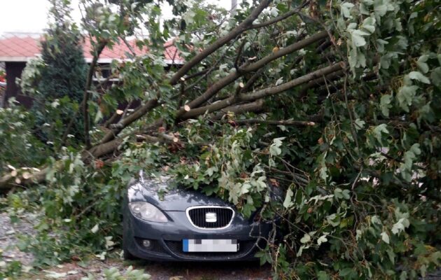 Vítr v noci v kraji lámal stromy, bez elektřiny bylo 1500 domácností