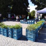 Farmářské trhy ve Vrchlabí