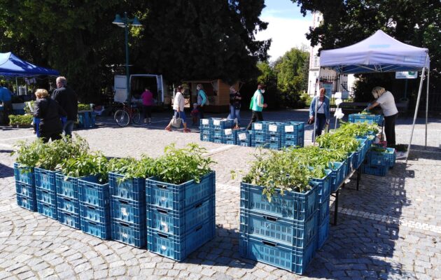 Farmářské trhy ve Vrchlabí
