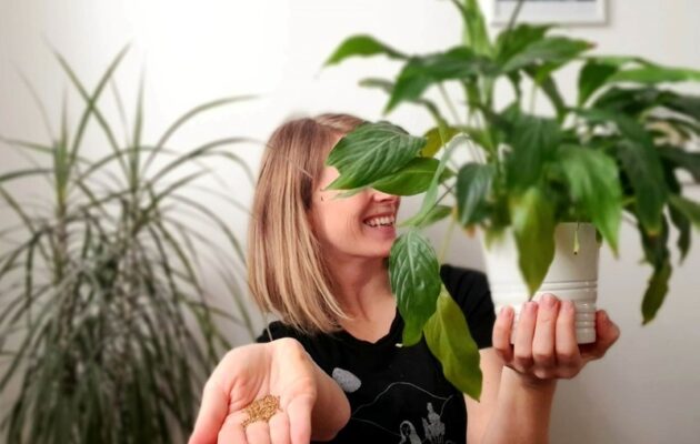 První Zelený SWAP ve Vrchlabí: výměna květin, rostlin a všeho co s nimi souvisí