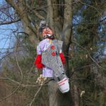 Čarodějný let v zámeckém parku