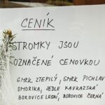 Prodej vánočních stromků ve Vrchlabí