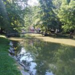 Zámek Častolovice