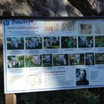 Listopad na Břečtejnu a Hrádečku