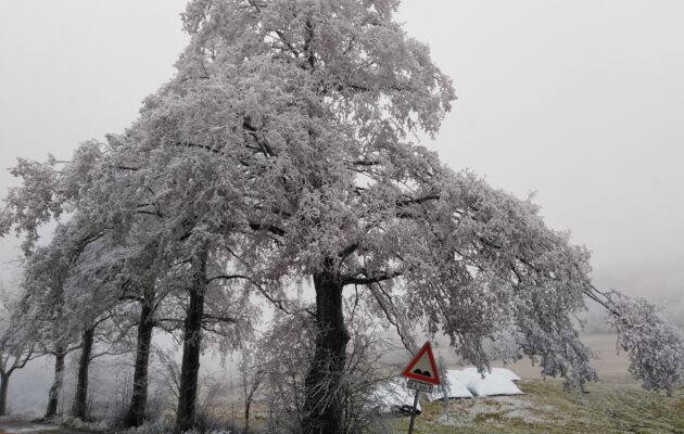FOTO: Sníh není nikde. Na kopcích krajinu alespoň zdobí omrzlice