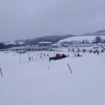 Obleva ztenčila sněhovou pokrývku v běžeckém areálu