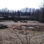 První jarní sobota v Safari Parku ve Dvoře Králové nad Labem