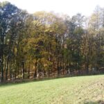 Podzimní Kněžice