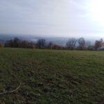 Podzimní Kněžice