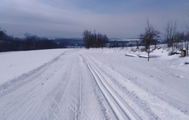 Běžky nad Městským parkem