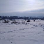 Běžky nad Městským parkem