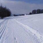 Běžky nad Městským parkem