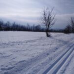 Běžky nad Městským parkem