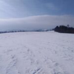 Běžky nad Městským parkem
