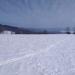 Běžky nad Městským parkem
