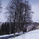 Zima ve Vrchlabí ještě neskončila