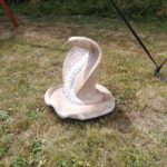 Sportovně-hudební odpoledne ve Valteřicích