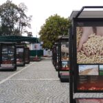 Výstava Energie a civilizace