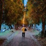 Svátek zesnulých na vrchlabském hřbitově