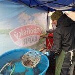 Prodej kaprů u Kauflandu