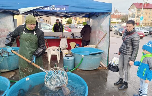 FOTO: Šupináči na štědrovečerní tabuli. Ve Vrchlabí začal prodej kaprů