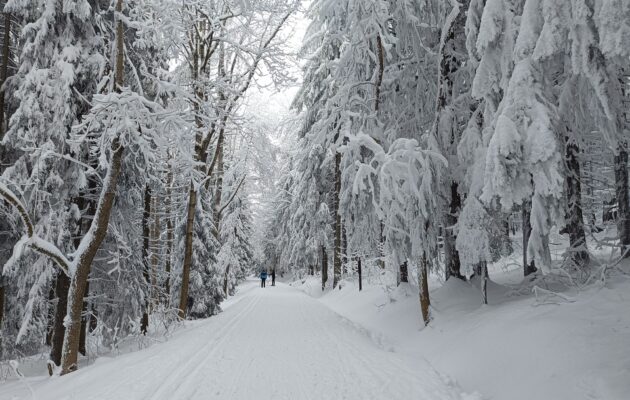 FOTO: Na Benecku jsou zimní kulisy a podmínky na běžky jako z katalogu