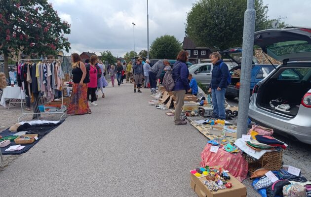 FOTO: Oděvy, knihy či hračky. Náplavka patřila tradičními blešáku