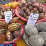 Africký trh ve Vrchlabí
