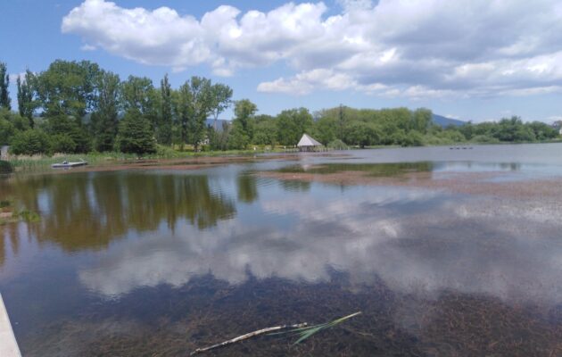 Na Kačáku jsou sinice, lidé se po koupání mají osprchovat