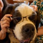 Křest knihy Bohouš z Luční boudy 3