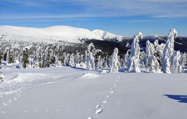 V Královéhradeckém kraji dnes ráno opět mrazy až minus 20 stupňů