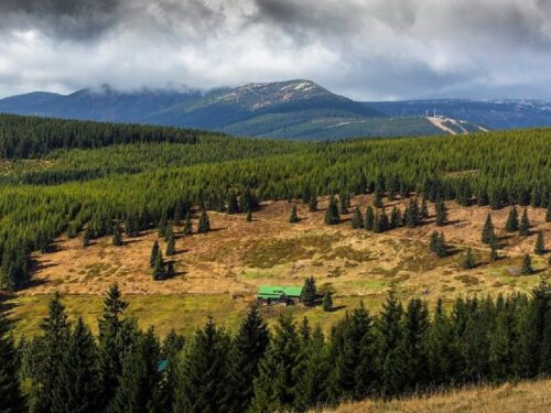 KRNAP obhájil mezinárodní certifikát, krkonošské lesy jsou v dobrém stavu