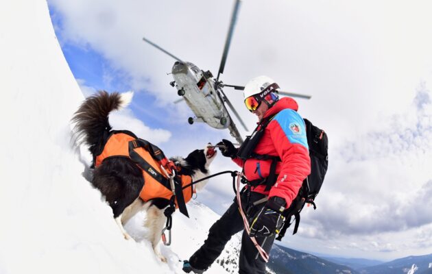 FOTO: Lavinoví psi hledali v hlubokém sněhu figuranty