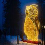 Osvětlená Stezka korunami stromů