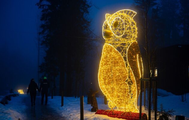 Osvětlená Stezka korunami stromů